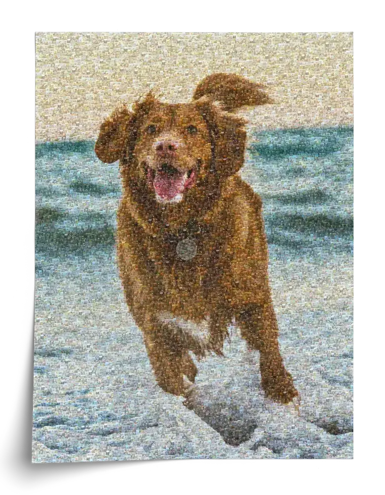 Staande fotomozaïekposter van een bruine hond die langs het water rent, opgebouwd uit kleine foto's