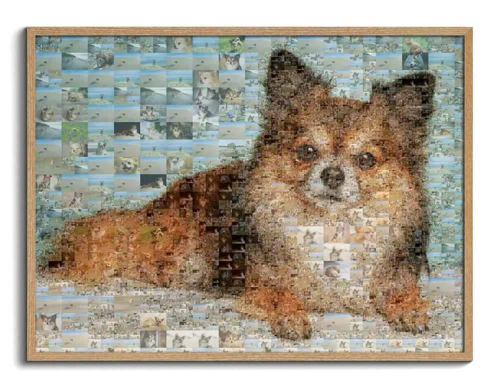 Liggend fotomozaïek van een kleine hond van rechthoekige foto's, in een naturel houten lijst
