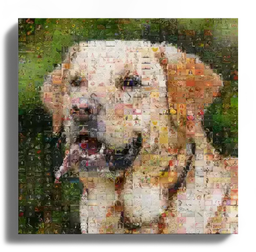 Jouw unieke fotomozaïek van je hond - Creëer jouw persoonlijke herinnering