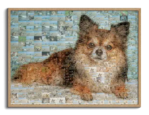 Persoonlijk Foto-Mozaïekportret van Hond