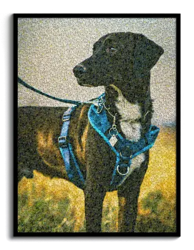 Persoonlijk Foto-Mozaïekportret van Hond