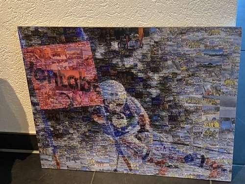 Klantfoto van Fabienne voor beoordeling Afdruk Fotomozaïek [Online] Dibond 50x40cm