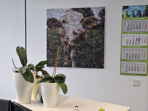 Klantfoto van sarah voor beoordeling Fotomozaïek [Software] als download